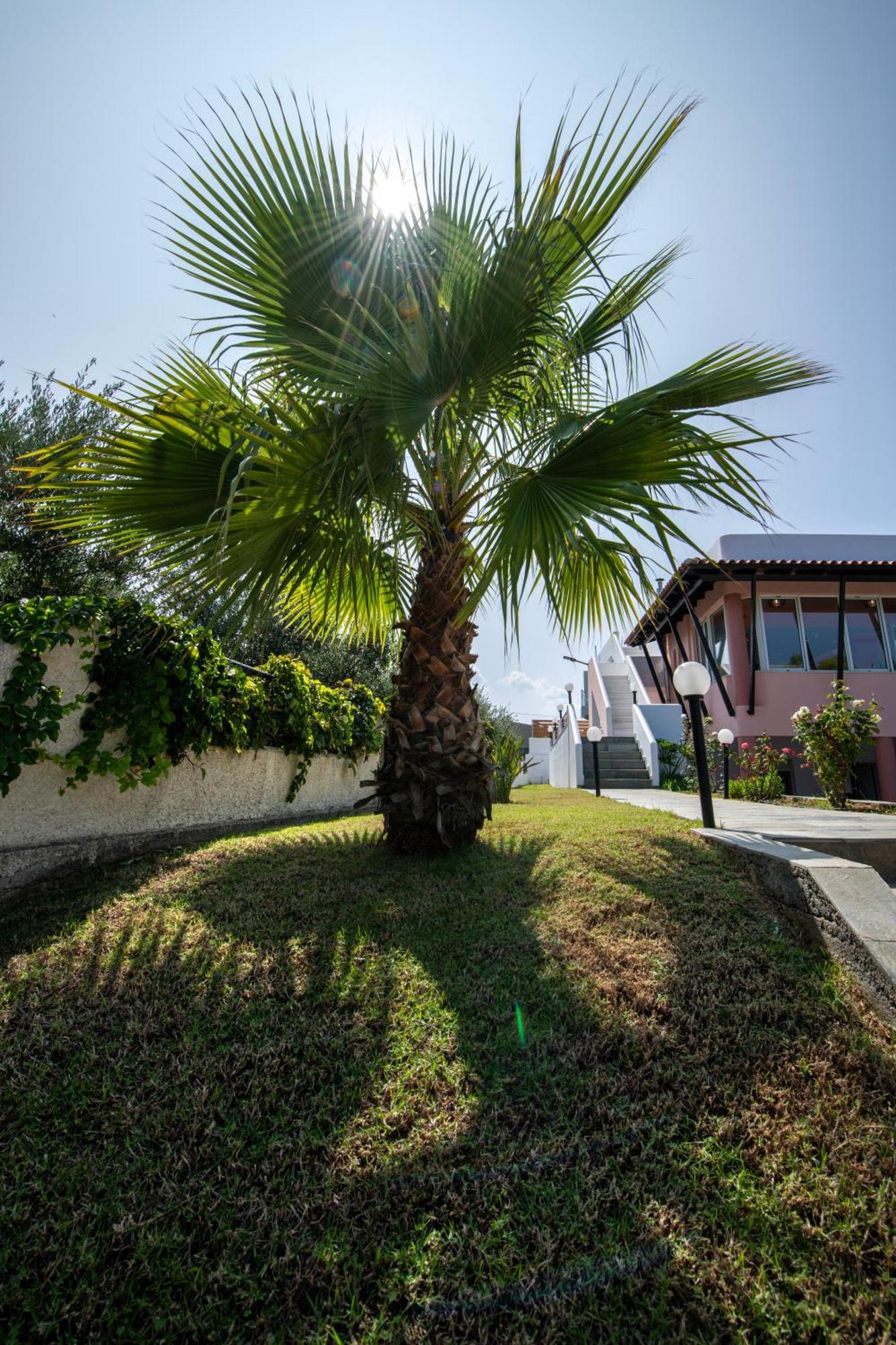 Villa Eleni 100M From The Sea Rapanianá Extérieur photo